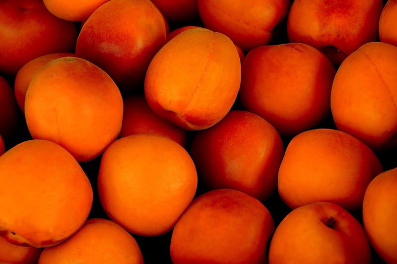 Nature's Bounty